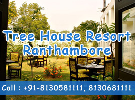 Tree House Resort Ranthambore