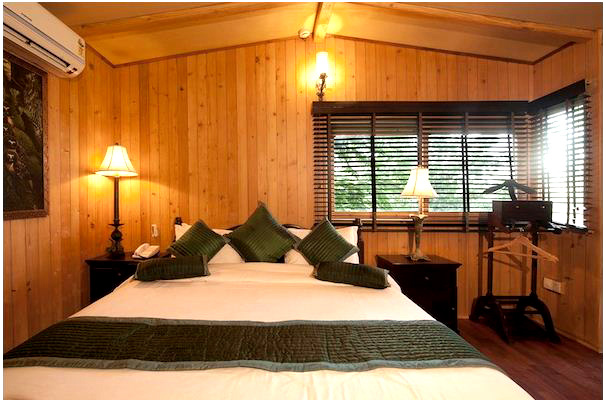 Tree House Resort accomodation
