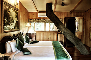 Tree House Resort